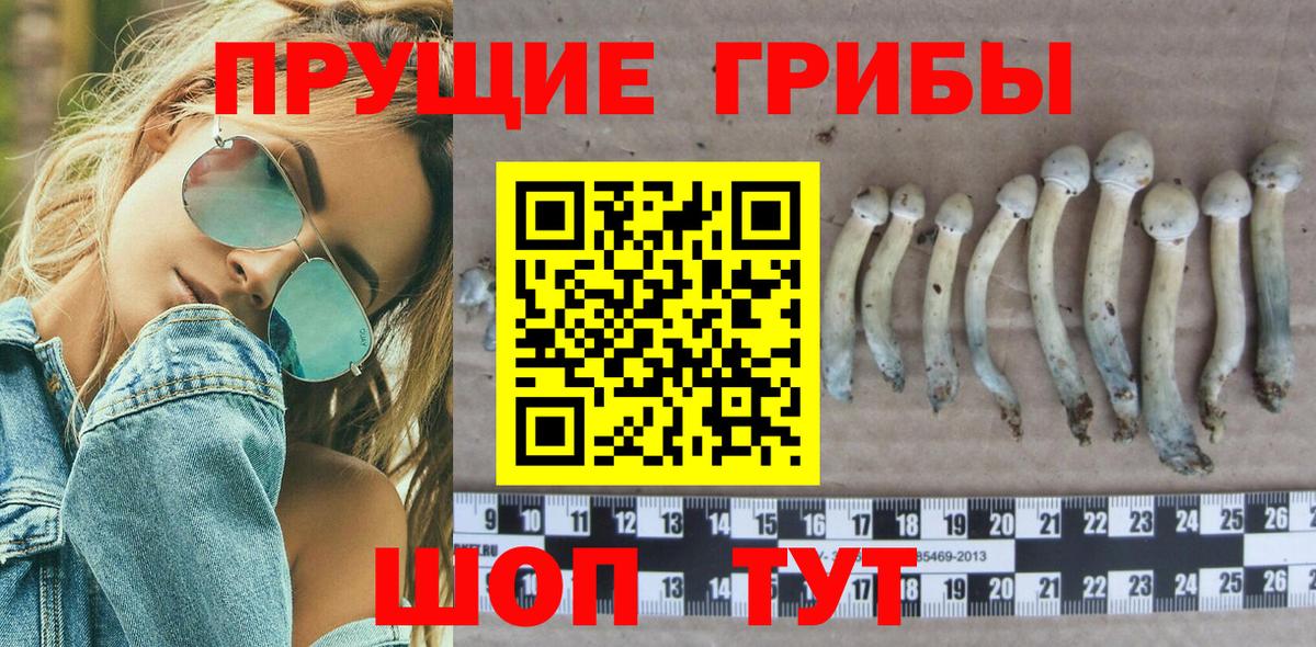 Псилоцибиновые грибы ЛСД  Вход с VPN  где купить наркоту  Новошахтинск  Галлюциногенные грибы Cubensis 